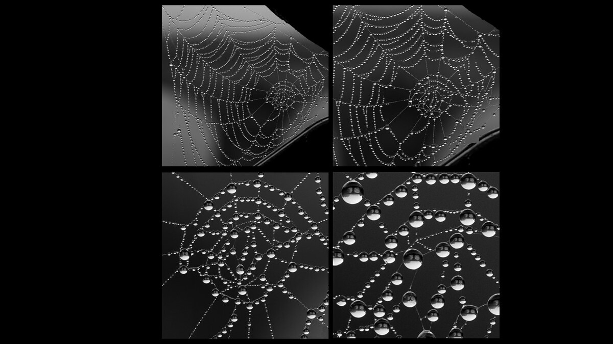 Look Very Closely - Dan Johnson